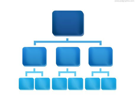 DETTAGLIO ORGANIGRAMMA